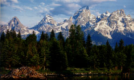 Teton National Park RV Rental